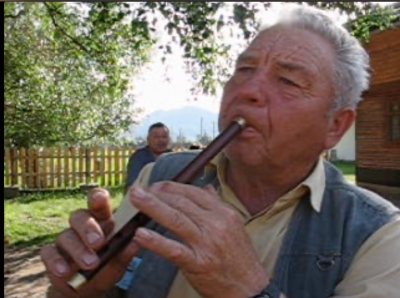 Csúfos hejsza